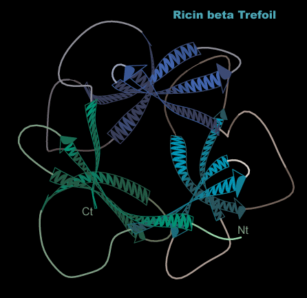 ricin