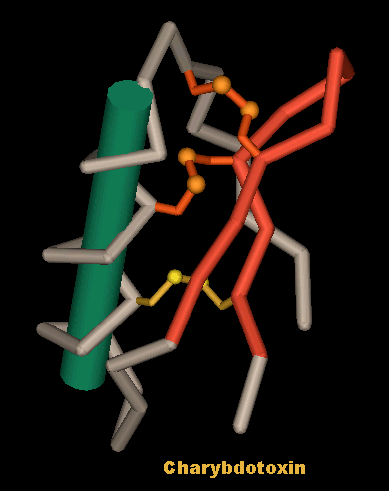 charybtoxin